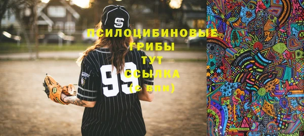 дмт Покров