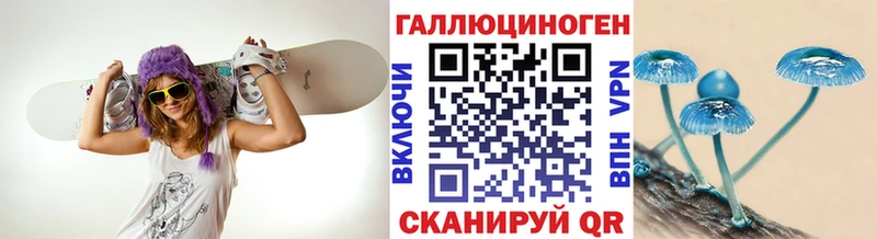 Галлюциногенные грибы мухоморы продажа наркотиков сайты даркнета какой сайт Тара